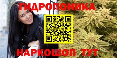 ПСИЛОЦИБИНОВЫЕ ГРИБЫ Пенза