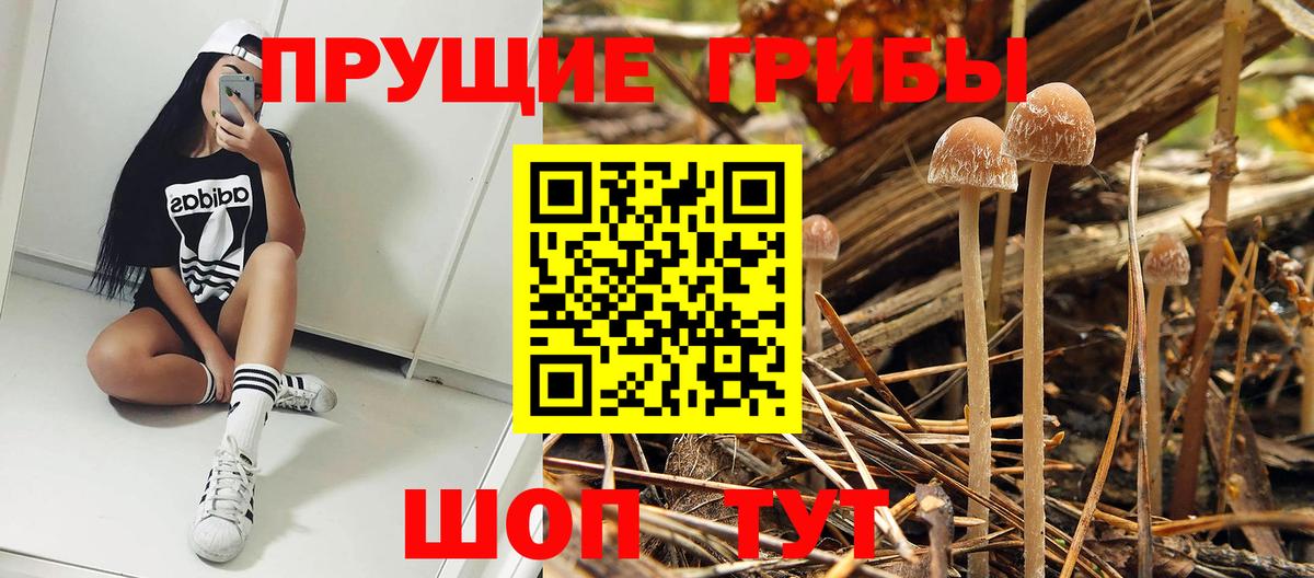 Псилоцибиновые грибы прущие грибы Южноуральск