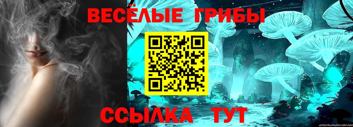Южноуральск  Псилоцибиновые грибы Magic Shrooms  Галлюциногенные грибы GOLDEN TEACHER  Вход с VPN 